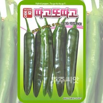 주주씨앗 과채류 씨앗 76종 모음 오이 수박 가지 참외 딸기 수세미 조롱박 호박 방울 토마토 여주 고추 멜론 애플 메론 파프리카 단호박 완숙 땅콩호박 머크아, 70. 아삭이풋고추(따고또따고) 100립