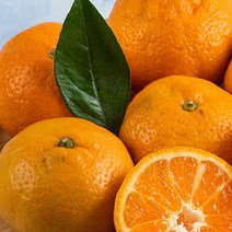 감귤 5kg 타이벡감귤 타이백감귤 제주귤 효돈감귤 귤2, 1개