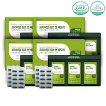 복합기능성 기억력 두뇌영양제 은행잎추출물 프리미엄 징코 4세트 1년분