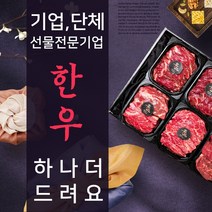 기업 단체 명품한우 선물세트, 기본형, 한우불고기+한우양지+한우차돌박이