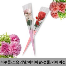 카네이션 어버이날선물/스승의날선물/장미꽃, 장미비누꽃(OPP-핫핑크)