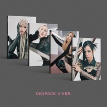 CD 블랙핑크 - 정규2집 앨범 본핑크 DIGIPACK, 디지팩_로제 버전