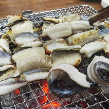 자연산 바다장어 1kg 바닷장어 붕장어 아나고 시세