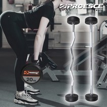 프로이스 프로페셔널 고정 직선바, 25kg, 블랙, 1개
