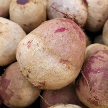 푸드맛봄 색이 진한 청정 제주 레드비트 10kg(개당 300g 이상) 비트 사탕무, 단일옵션
