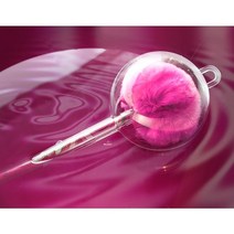 사콕스 롤리팝볼펜 귀여운 털공볼펜 패브릭, 1개, 체리