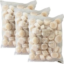 힘찬푸드 냉동 가리비 관자, 3팩, 1kg