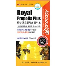 로얄젤리 프로폴리스 180캡슐 플라보노이드 아빠선물