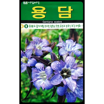 용담 꽃씨앗1000립 아람종묘