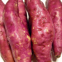 23년 첫수확 팍팍한 햇밤고구마 옵션중량 후회없는선택, 햇밤고구마3kg(특상/선물용)