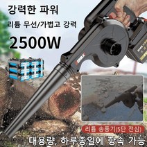 다기능 고출력 리튬 송풍기 충전식 소형 차량용 먼지 제거기 공업용 리튬이온 에어 블로우 리튬 무선/가볍고 강력/강력한 파워/2500W, 헤어 드라이어, 전통적인, 1개