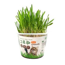 힐링타임 그루루 재배세트 캣그라스 보리 귀리 캣닢 고양이 헤어볼 캣닢 화분 키우기, 보리 3개