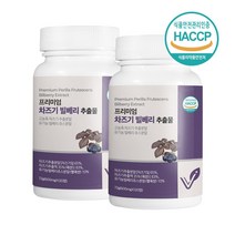 눈건강 차즈기 빌베리 추출물 600mg 120정 유기농 빌베리 차조기 잎 25배 고농축 말린 차지기 자소엽 루테올린 국산 식약처 식약청 인정 인증, 눈엔차즈기600mgx120정2set