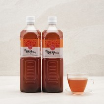 완주봉상생강 완주봉상생강 생강농축액 1L x 2, 단일옵션