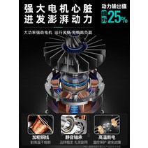 무선송풍기 낙엽청소 세차블로어 충전식 헤어 드라이어 자동차 리튬 배터리 송풍기 고전력 산업용 소형 그을음 가정용 집진기, [34] DS 극한 송풍기 2 전기 1 충전기  플라스