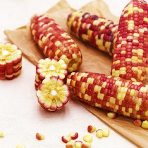 알록달록 삶은 찰옥수수 20개 /홍찰얼룩이/대용량, 상세페이지 참조