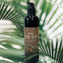 [더위치] 측백엽샴푸 250ml 측백엽 한방 샴푸 측백나무추출물 함유