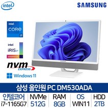 [삼성전자] 올인원 일체형PC DM530ADA-L78A_T1 i7 WIN11홈 탑재 가성비, 상세 설명 참조, 상세 설명 참조