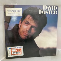 DAVID FOSTER LP / 엘피 / 음반 / 레코드 / 레트로 / AA2364
