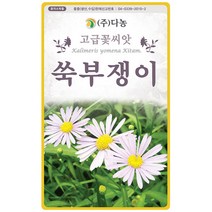 꽃양귀비 1g - 야생화 씨앗 꽃씨 씨 꽃씨앗 양귀비 개양귀비 다년생꽃씨 여러해살이 야생화씨 야생화씨앗 꽃, 32_다농_쑥부쟁이(1.5g)