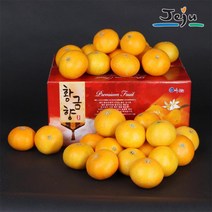 산지직송 제주 황금향 10kg 80과 내외 가정용 제주연가