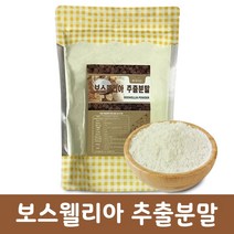 보스웰리아분말 인도네시아산 건강분말 가루 500g, 1개