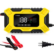 납산 배터리 차량용 배터리 충전기 고속 자동차 액세서리 납산 스마트 12V 펄스, 01 US Plug