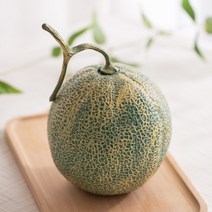 머스크 메론 모형