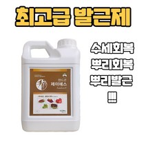 랜드콘 플러스 뿌리 발근제, 2L, 1개