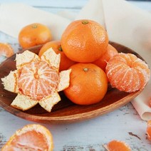 산지직송 [제주시농협] 제주감귤 조생감귤 5kg 로얄과(2S~M), 단품없음