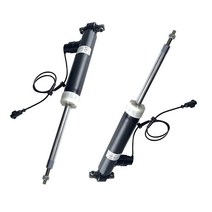 [미국] Neresshery ASH24635 EG9Z18125L ASH24651 쌍 왼쪽 및 오른쪽 후면 공기 충격 흡수 장치 및 스트럿 세트 2013-2020 링컨 MKZ ASH, Rear Pair