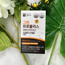애플트리김약사네 그린프로폴리스 호주산 프로폴리스 캡슐 플라보노이드 비타민p 아연 면역력 항산화 식물성캡슐, 500mg x 30 캡슐, 3개