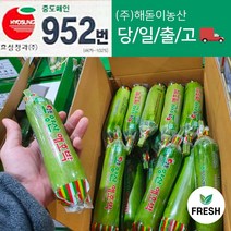 <해돋이농산> 국내산 애호박 인큐애호박 주키니호박 쥬키니호박 특품 상품 20개입 1박스, 애호박 특품 20개입” class=”wr-img”></a></div>
</div>
</div>
</div>
<div class=