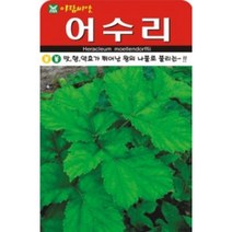 산채종자 어수리씨앗(50립)(A0066)