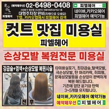 피엘헤어 학생커트 샴퓨제외 타미용실포기 극손상모발 복원 강곱슬머리 쫙펴드림 서울미용실 홍은동미용실, 학생커트 샴푸제외