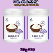 락토바실러스 불가리쿠스 파라카제이 람노서스 아시도필루스 루테리 카제이 프락토올리고당 모유 유래 유산균 분말 가루 x2통 베이킹반죽 물 우유 요거트 첨가, 2개