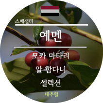 [커피생두]2023 뉴크랍 예멘 모카 마타리 스페셜티 내추럴 500g
