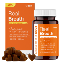 강아지 호흡기 기관지 건강 영양제 반려견 호흡곤란 기침 켁켁거림 기관지질환 면역력 향상 펫생각 리얼브레스 미니 휴먼그레이드 간식, 3개