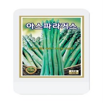 아스파라거스씨 50립 아스파라거스 씨앗 대장 KS종묘