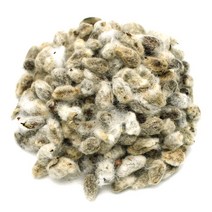 국산 목화 면화자 300g 목화씨, 3개