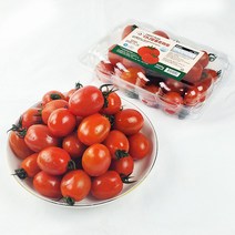 다니 스테비아 대추 방울토마토 1kg
