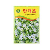 미미네가든 안개초 씨앗 - 꽃씨 키우기, 단품
