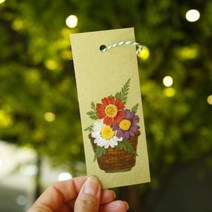체크스토리 압화책갈피 컬러색지 1인세트, 선택:알리슘+레이스플라워, 단품