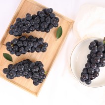 당일선별 송산포도 대부도포도 상주모동포도 캠벨 포도1kg 2kg, 2kg내외(6~10송이)