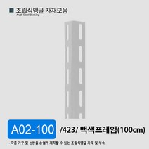 조립식앵글 선반 자재 부자재 모음 부속 423 623 420 623, A05-100 백색(100cm)/ 623, 1개