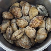 고흥 왕바지락 바지락살 조개, 바지락 1kg (60~80마리), 1개