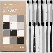 친환경칫솔 월간칫솔 작은헤드 치과칫솔 잇몸 칫솔모, 1세트, 12개입(베이직)
