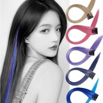 룸804 브릿지 붙임머리 피스 옴브레 하이라이트 탈색 가발 헤어피스 부분가발, 투톤, 블랙&블루