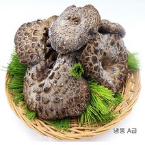 (청림송이 능이)햇 자연산 능이버섯(특품)냉동, 1개, 냉동능이/A급/1kg