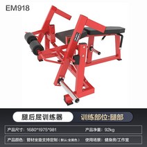 펙덱플라이 머신 기구 가슴 클럽용 상체 운동 헬스 홈짐 웨이트, EM918 분동식 레그백 트레이너